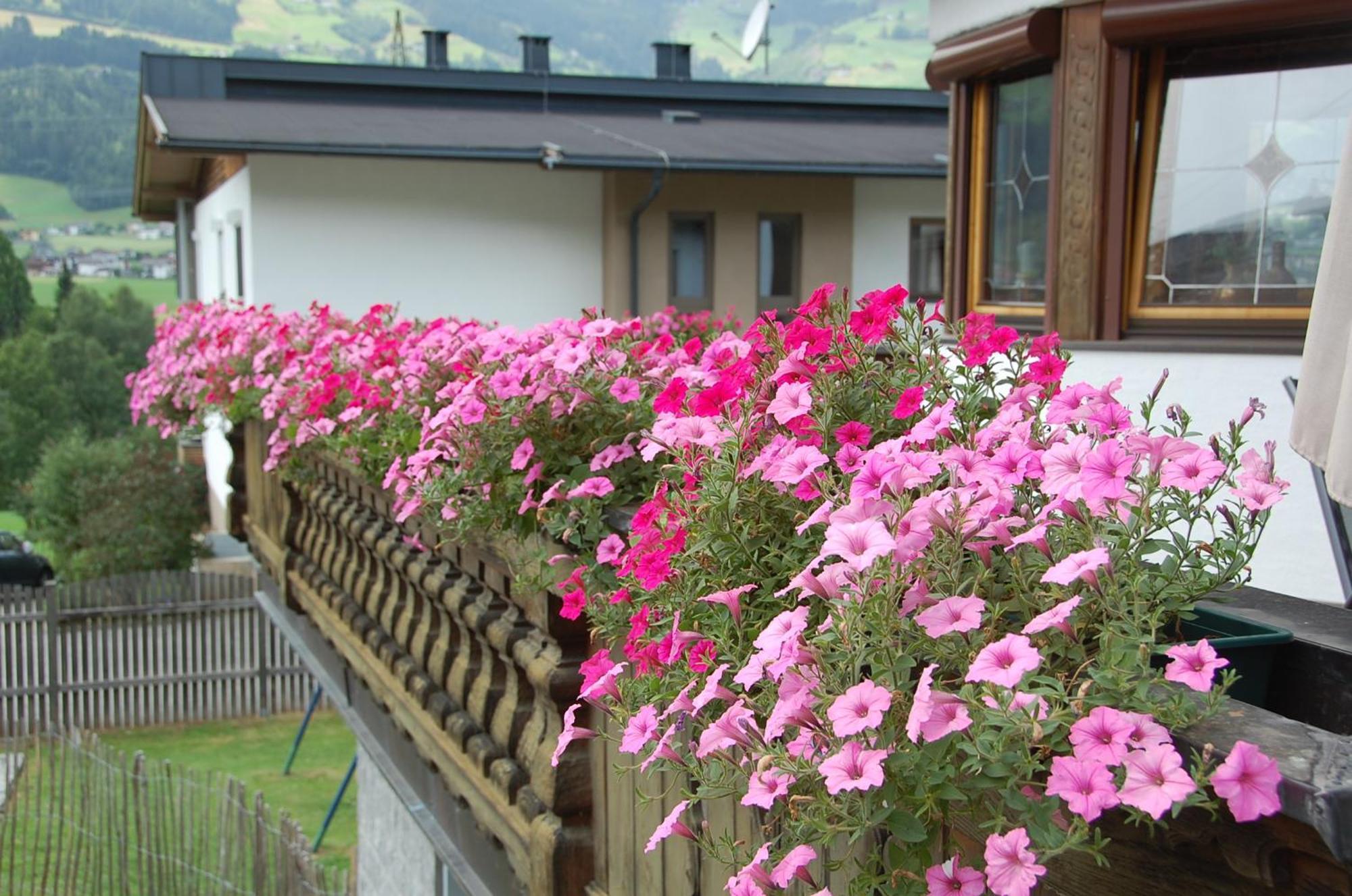 Haus Hart Im Zillertal 6 Personenヴィラ エクステリア 写真